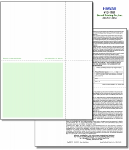 Larger image for Hawaii (Bravo) Laser Pawn Ticket 10-1101