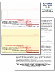Larger image for Tennessee Laser Pawn Ticket 10-4209